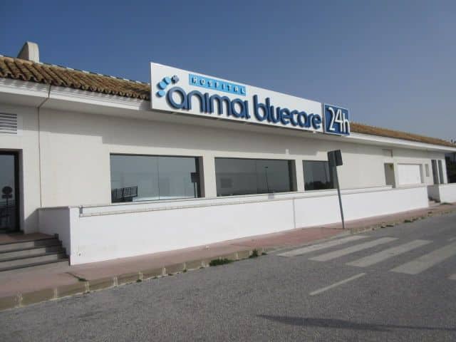 Proyecto SATE en veterinaria en Mijas