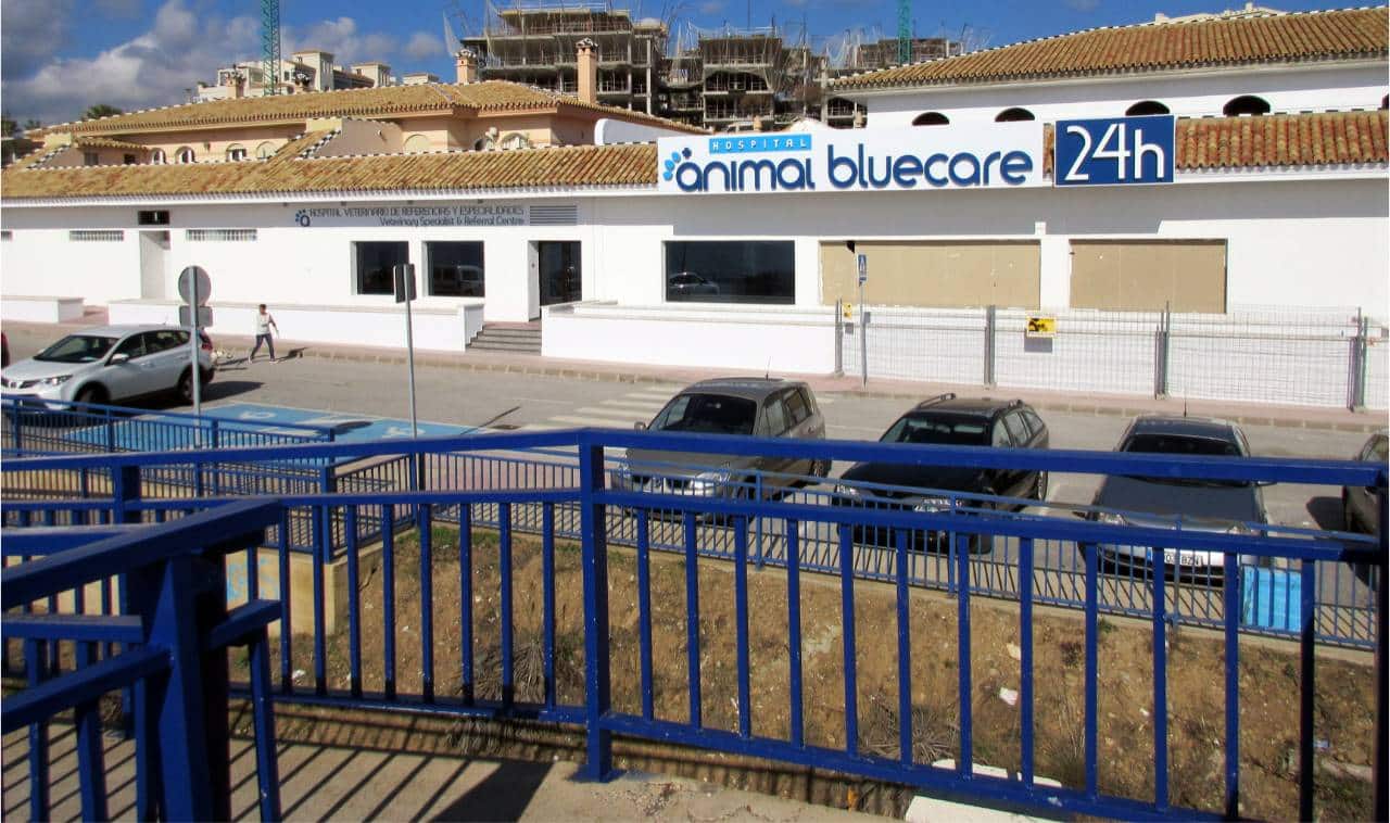 Proyecto SATE en veterinaria en Mijas